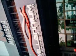 16776437495491300059777 - ipsosmy lenifield9.jpg